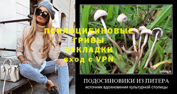 амфетамин Новодвинск
