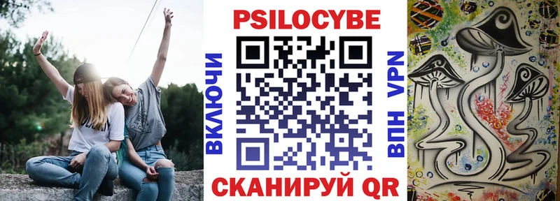 где купить наркоту  Беломорск  Псилоцибиновые грибы Psilocybine cubensis 